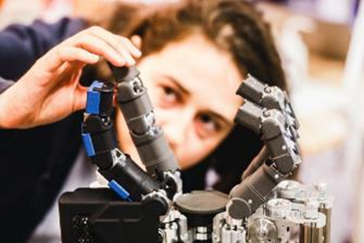 illustration hub Edgedeepia